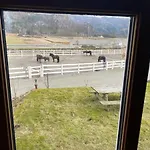 Apartment Lysefjorden Og Prekestolen Unik Og Koselig I Stallbygning *