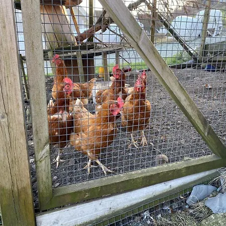 Appartement Lysefjorden Og Prekestolen Unik Og Koselig I Stallbygning Sandnes (Rogaland)