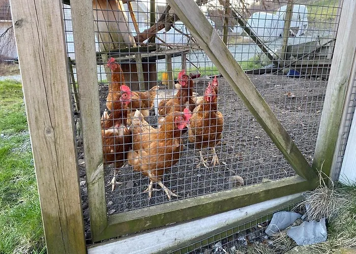 公寓 Lysefjorden Og Prekestolen Unik Og Koselig I Stallbygning 桑内斯